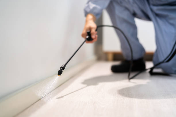 Licensed Termite Control service in Macomb County County, MI - Nex Pest Control