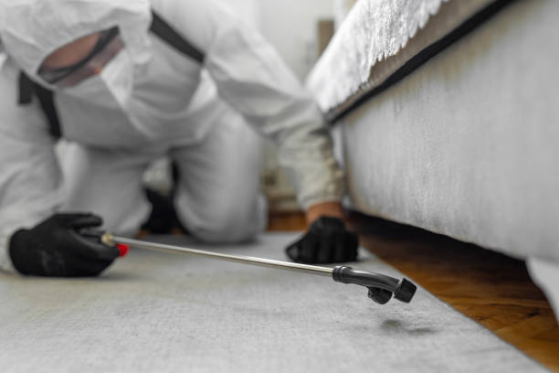Professional Termite Control technician working in Macomb County County, MI